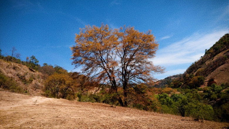 кадр из фильма ITERACIÓN