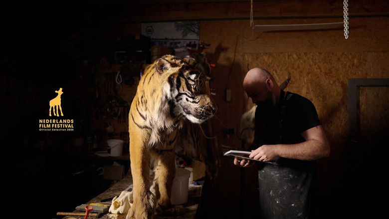 кадр из фильма ANIMORPHIA