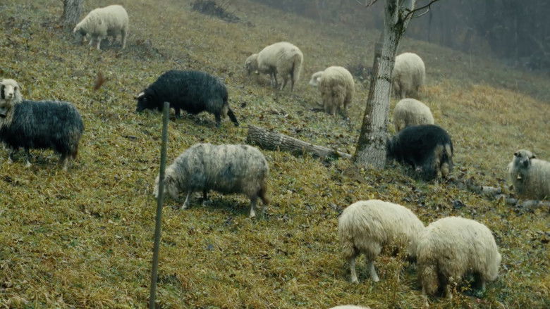 кадр из фильма Братчик