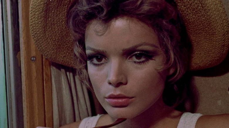 кадр из фильма Die Weibchen