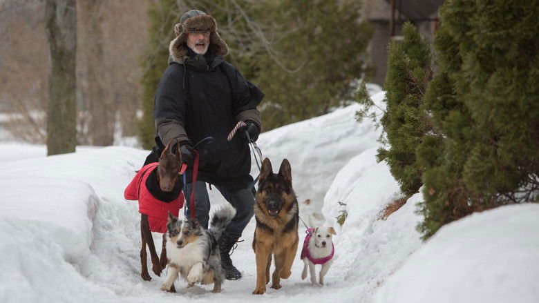 кадр из фильма La Nouvelle Vie de Paul Sneijder