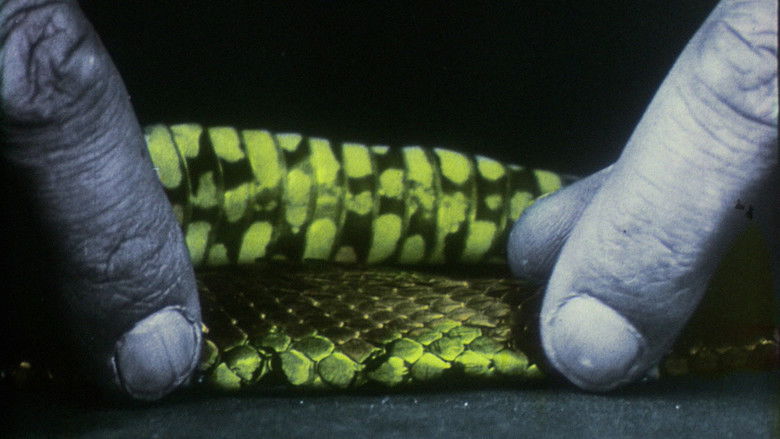 кадр из фильма en el río manso