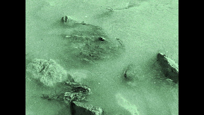 кадр из фильма M.T. - Mar Terreno