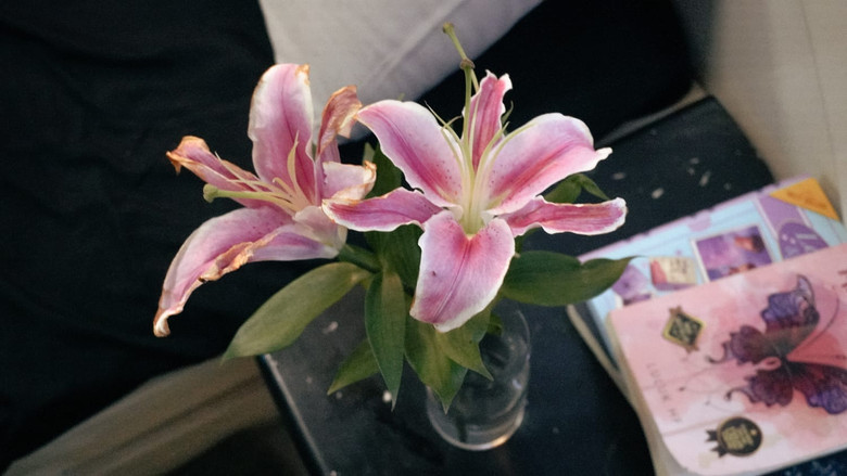 кадр из фильма Lily