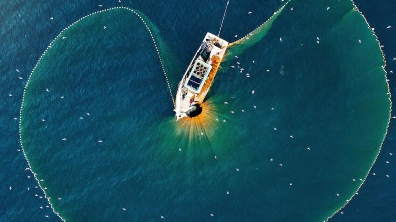 кадр из фильма A Tutto Tonno - La Pesca del Tonno Rosso