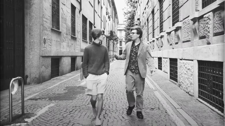 кадр из фильма Tim, Lloyd, and the Door