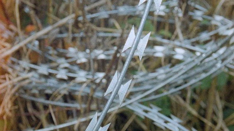 кадр из фильма Obzornik 670 – Rdeči gozdovi