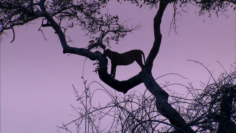 кадр из фильма Predator's Playground