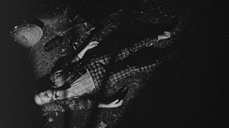 кадр из фильма Bugs Without Morals