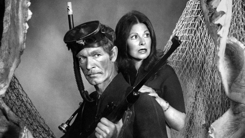 кадр из фильма Сокровища Ямайского рифа