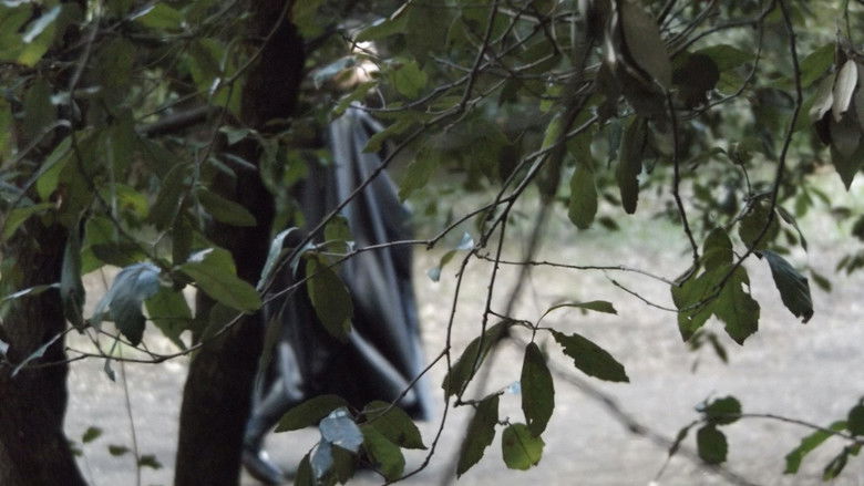 кадр из фильма Oblio