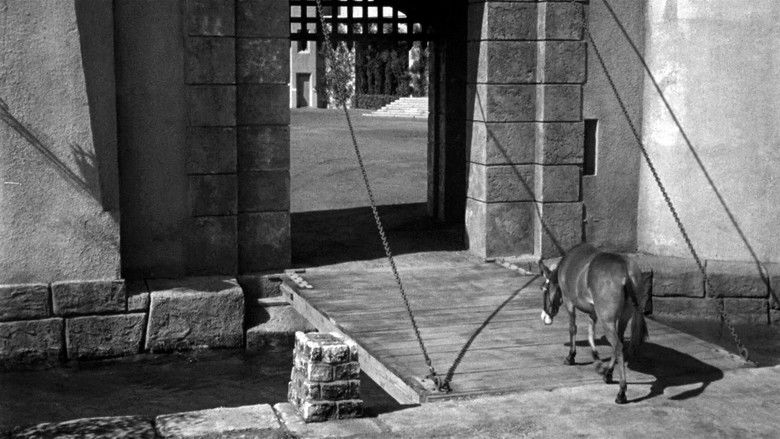 кадр из фильма Фрэнсис в доме с привидениями