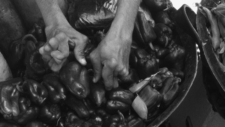 кадр из фильма Find One Who Was Not Born Of Woman That One Is Your Father