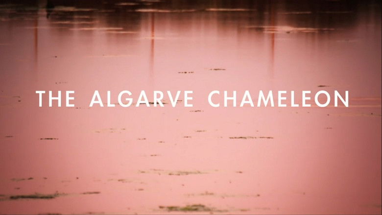 O Camaleão do Algarve - Fauna Ibérica