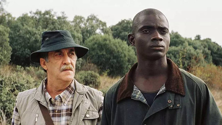 кадр из фильма Naufragio