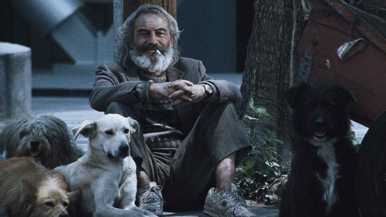 кадр из фильма Сука-любовь