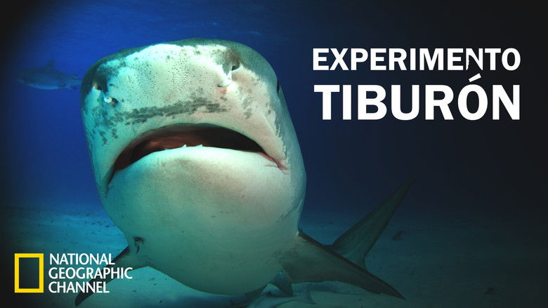 кадр из фильма Shark Attack Experiment Live