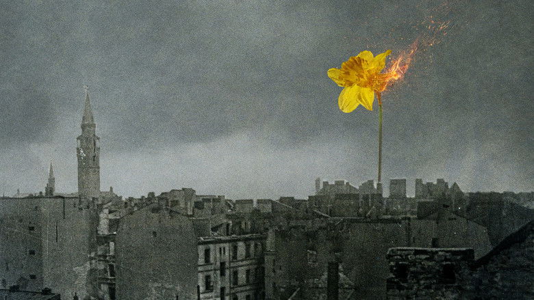 кадр из фильма 33 zdjęcia z getta