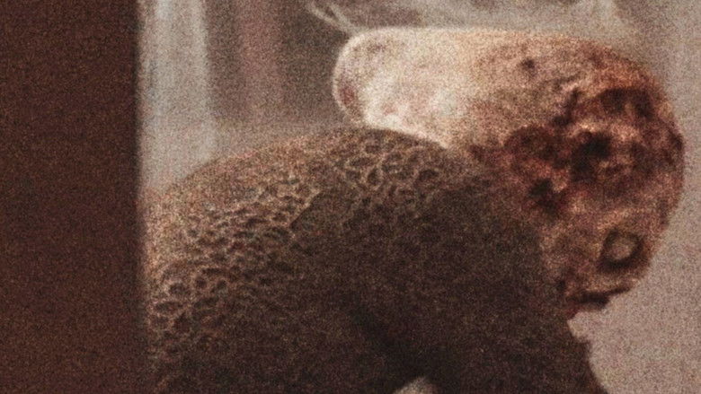 кадр из фильма Vetusta