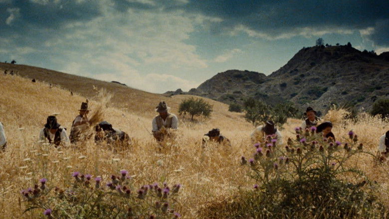 кадр из фильма Христос остановился в Эболи