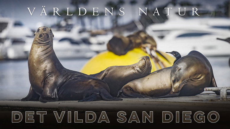 кадр из фильма San Diego: America's Wildest City