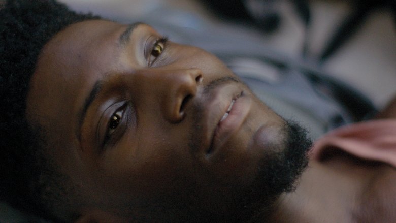 кадр из фильма Цикада