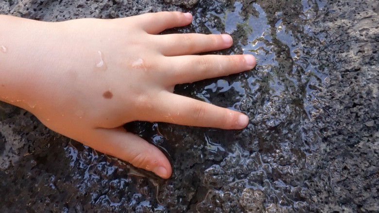 кадр из фильма Yo te nombro mundo