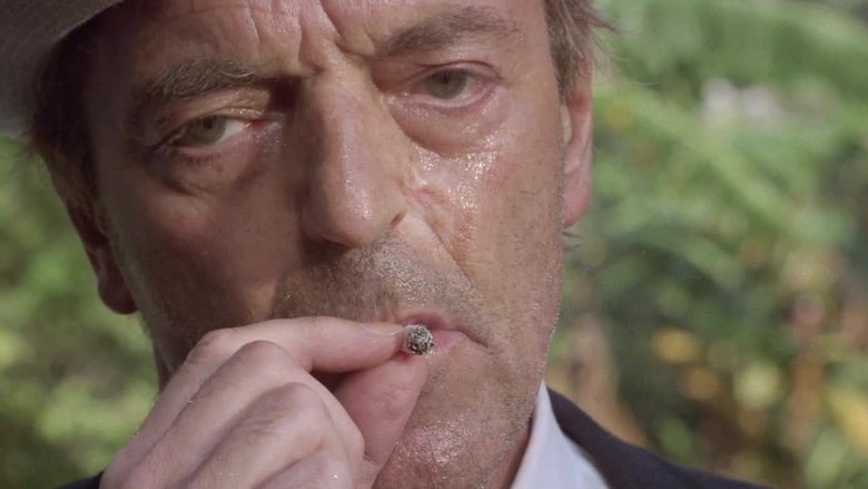 кадр из фильма Женщина в камере №9