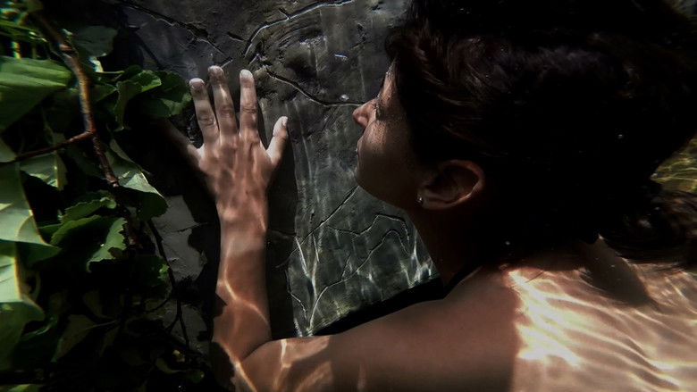 кадр из фильма A Arte da Luz Tem 20.000 Anos