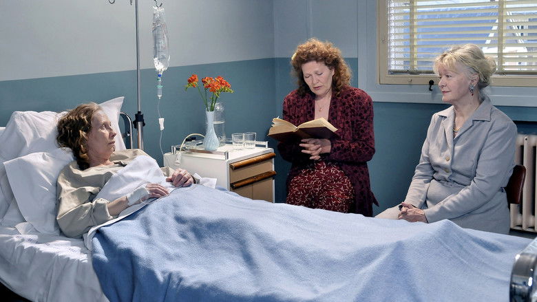 кадр из фильма Гавр