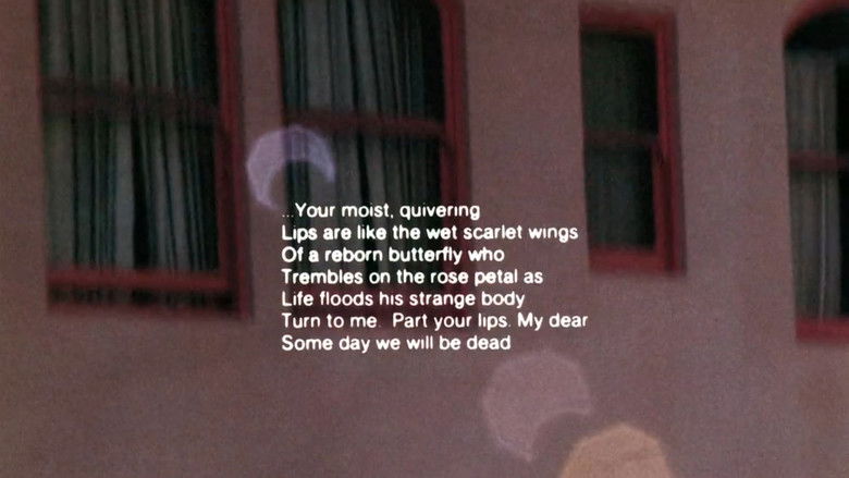 кадр из фильма Illuminated Texts