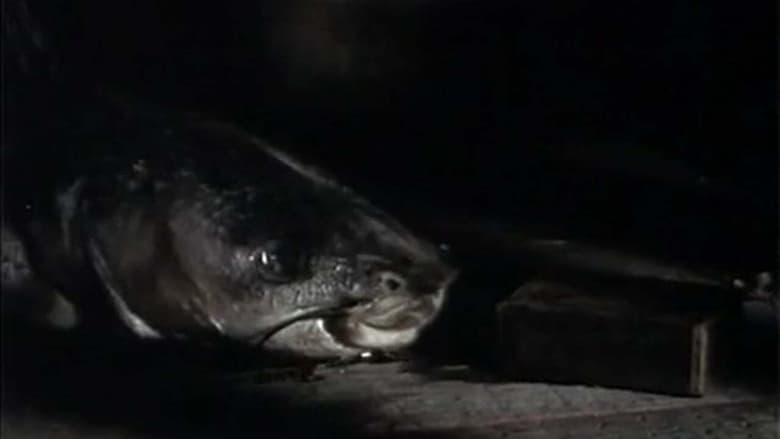 кадр из фильма The Amphibian