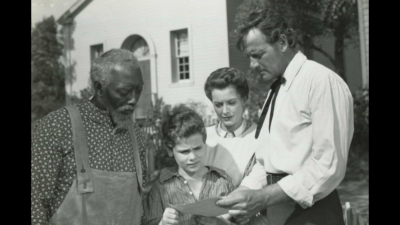 кадр из фильма Звезды в моей короне