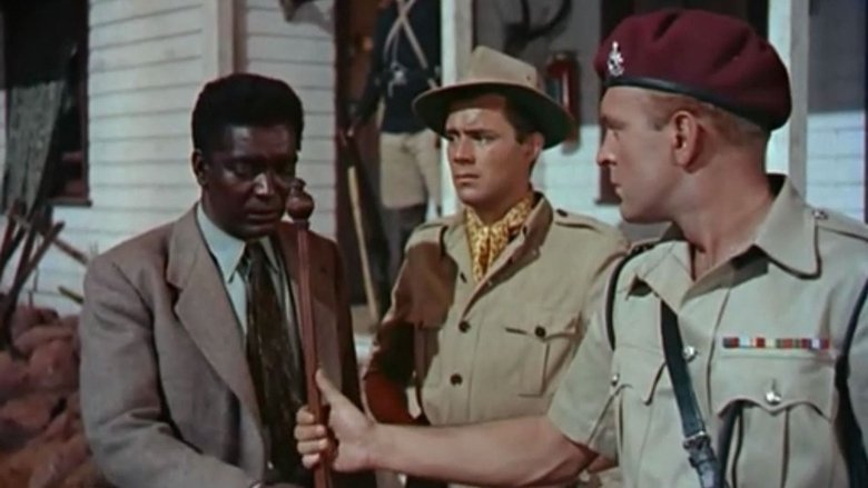 кадр из фильма Simba