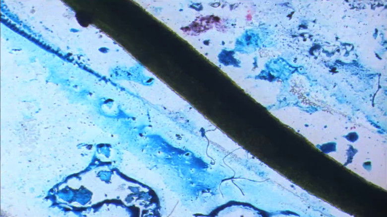 кадр из фильма Exploratorium Film