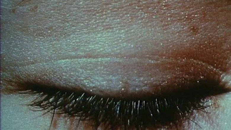 кадр из фильма Une minute pour une image