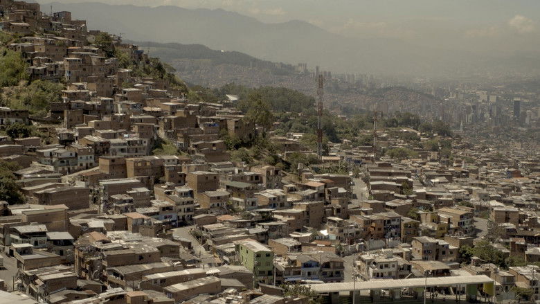 кадр из фильма Provisorum