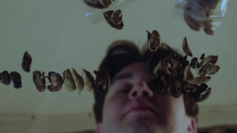 кадр из фильма Milk Quest