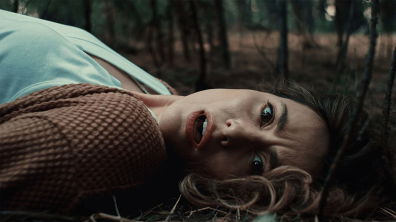 Извне. Петля времени