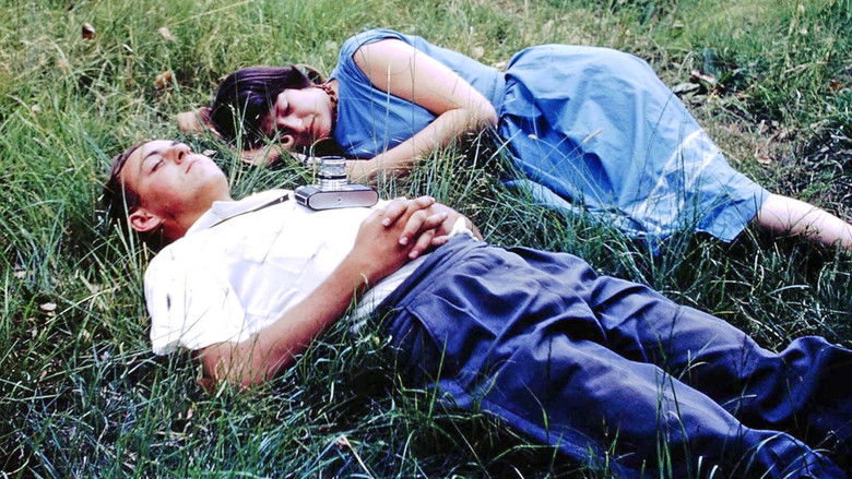 кадр из фильма The Good Terrorist