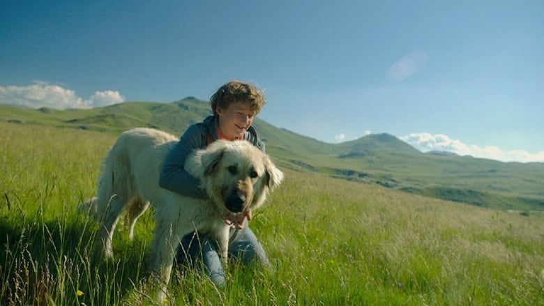 кадр из фильма Стела