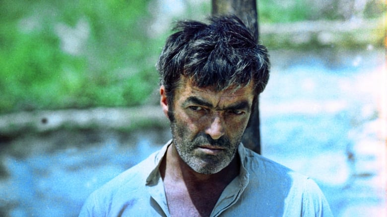 кадр из фильма Agent Nr.1