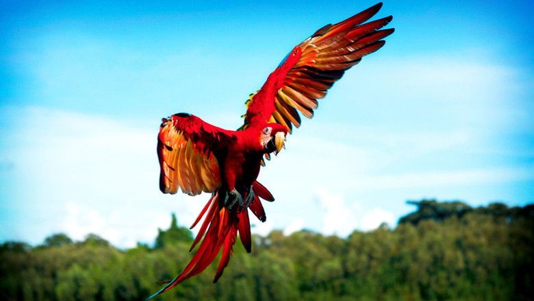 кадр из фильма Earthflight