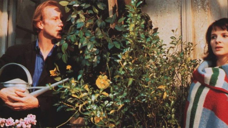 кадр из фильма Кушетка в Нью-Йорке