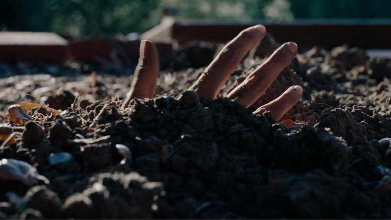 кадр из фильма STAN