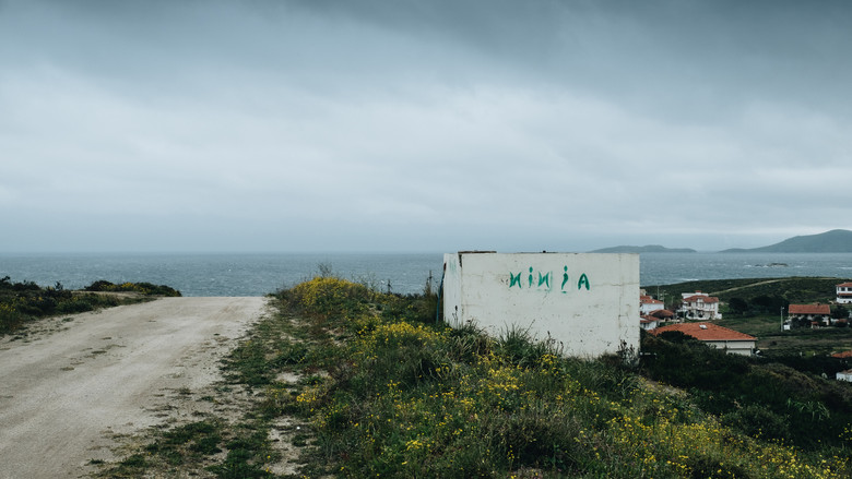 кадр из фильма The Annesi Ninja