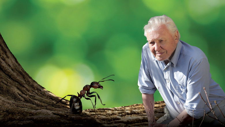 кадр из фильма Attenborough and the Empire of the Ants
