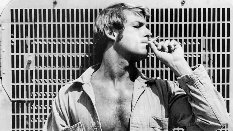 кадр из фильма Kansas City Trucking Co.