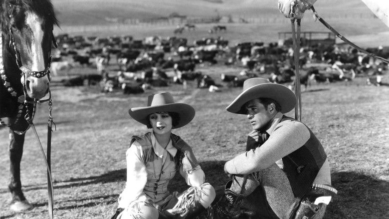 кадр из фильма The Last Outlaw