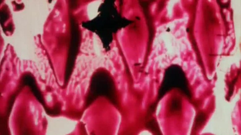 кадр из фильма Swinging the Lambeth Walk